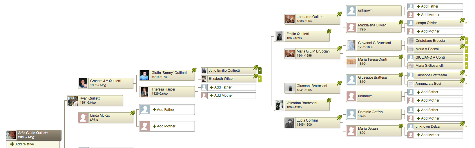 my family tree