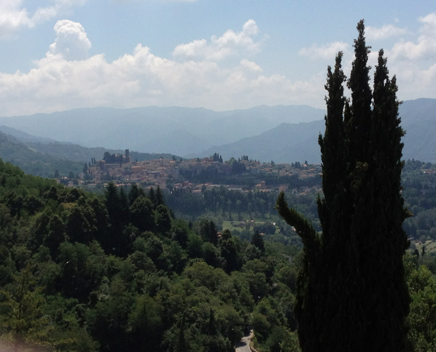 overlooking Barga